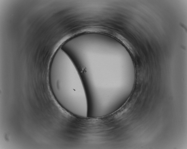 X0000097670853200803071553