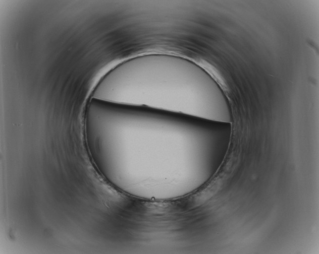 X0000097670854200803071553