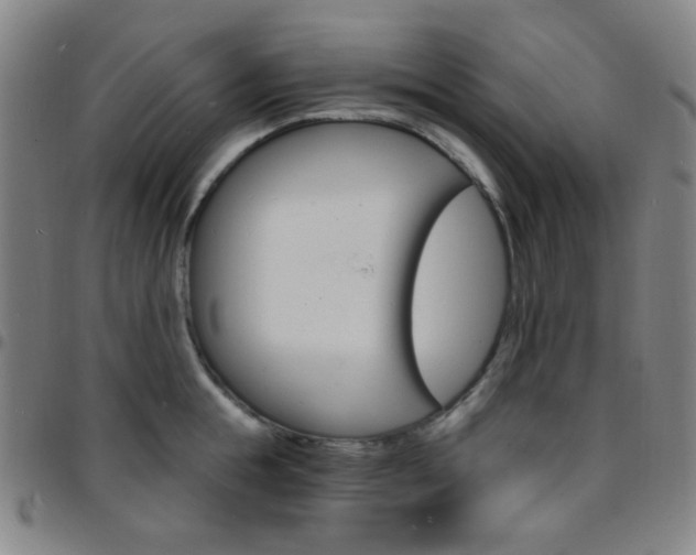 X0000097670855200803071553