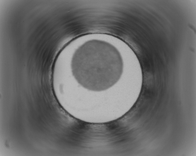 X0000097670856200803071553