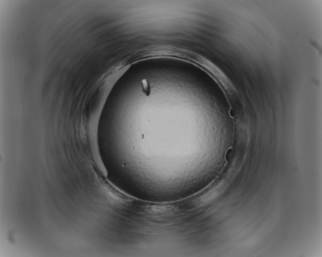 X0000097670857200803071553