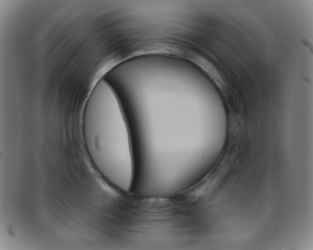 X0000097670858200803071553
