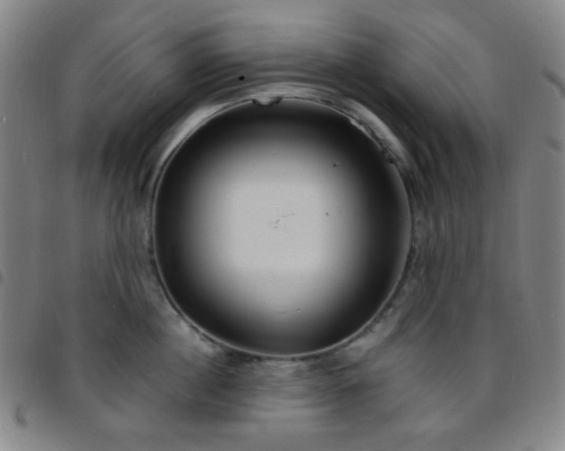 X0000097670860200803071553
