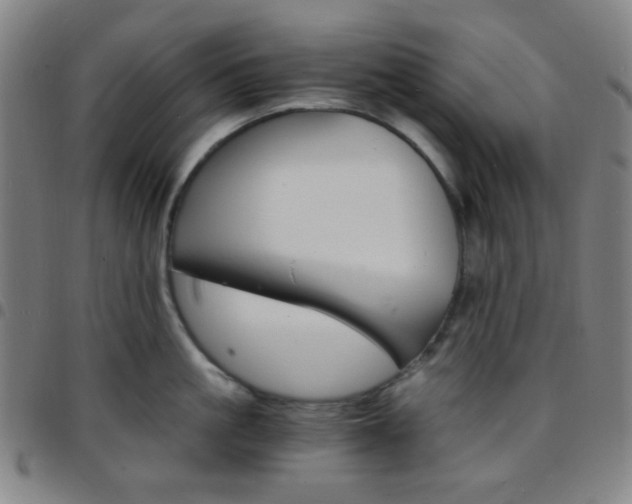 X0000097670861200803071553
