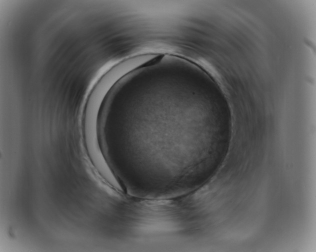 X0000097670864200803071553