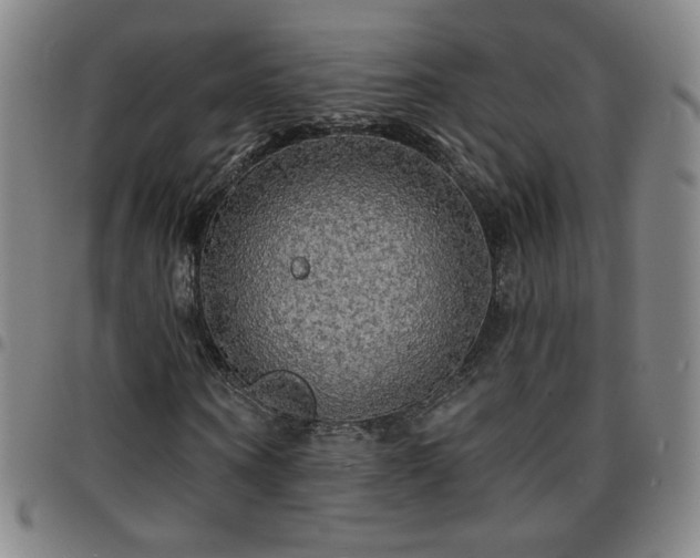 X0000097670866200803071553