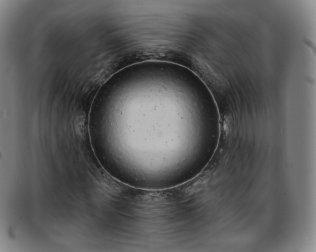 X0000097670867200803071553