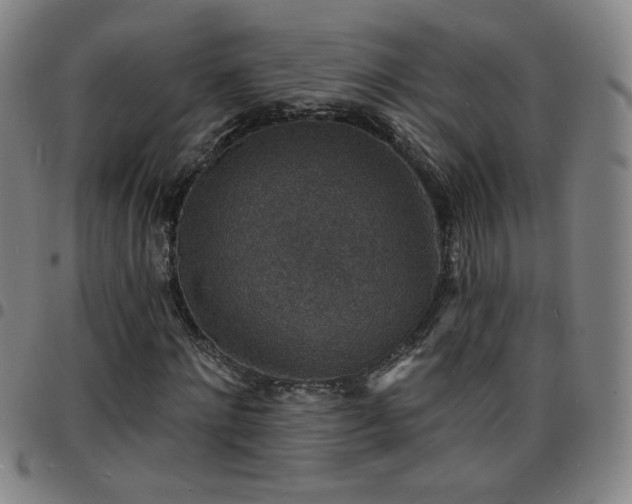 X0000097670868200803071553