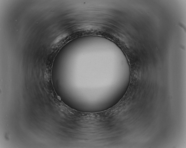 X0000097670869200803071553