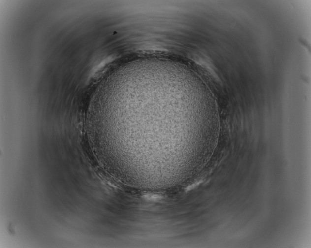 X0000097670870200803071553