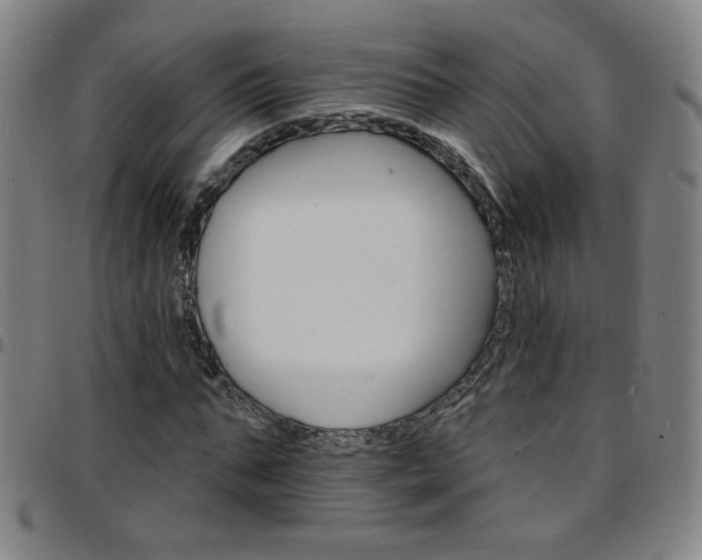 X0000097670871200803071553