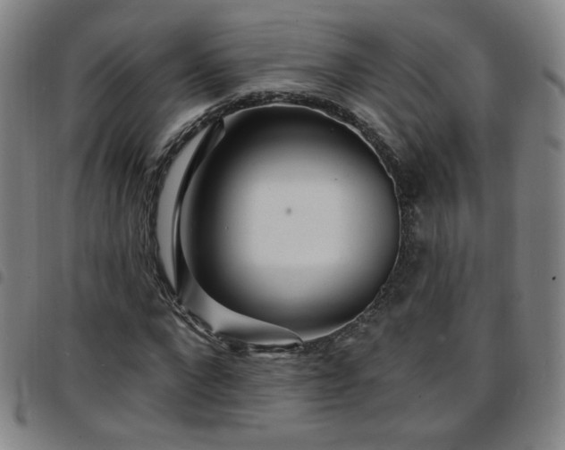X0000097670872200803071553