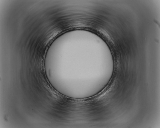 X0000097670873200803071553