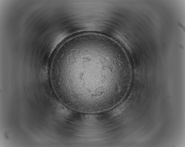 X0000097670875200803071553