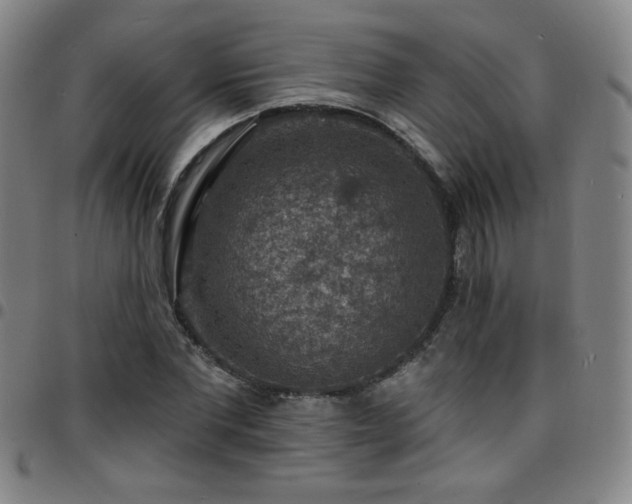 X0000097670877200803071553