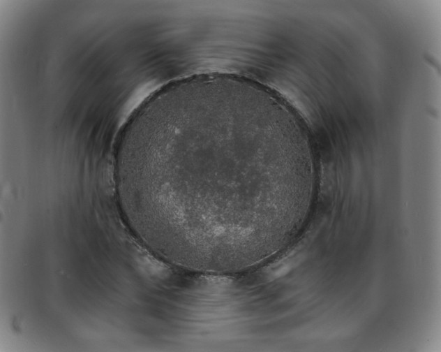 X0000097670878200803071553