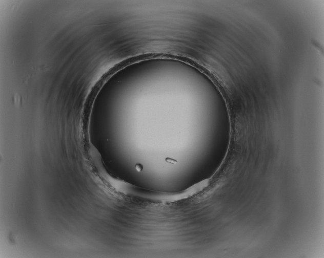 X0000097670880200803071553