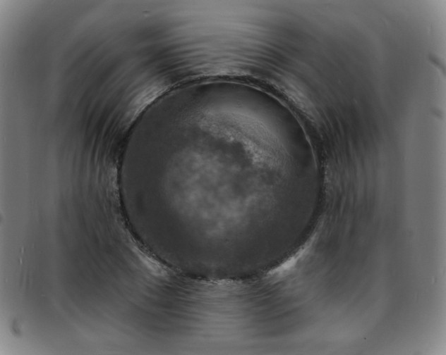 X0000097670881200803071553