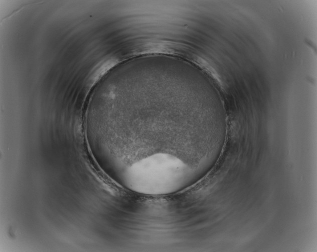 X0000097670882200803071553