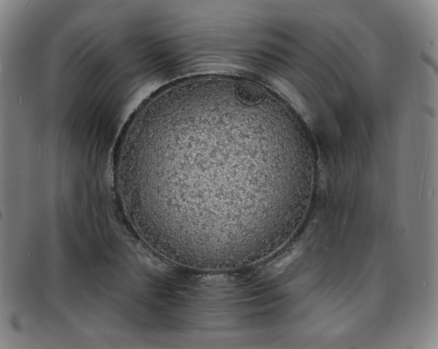 X0000097670883200803071553