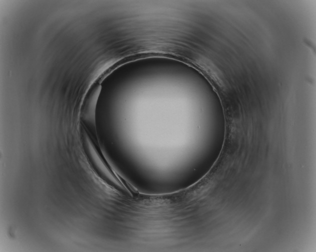 X0000097670884200803071553