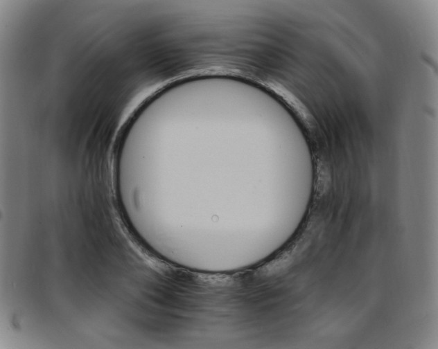 X0000097670886200803071552