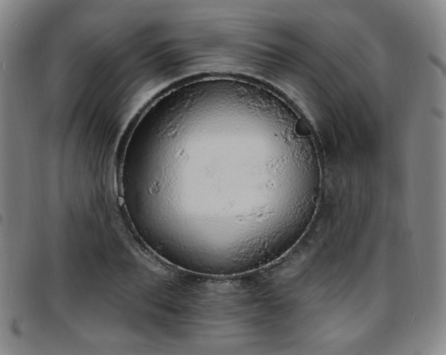 X0000097670887200803071552