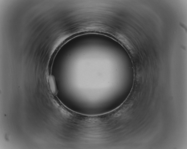 X0000097670888200803071552
