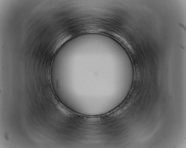 X0000097670889200803071552