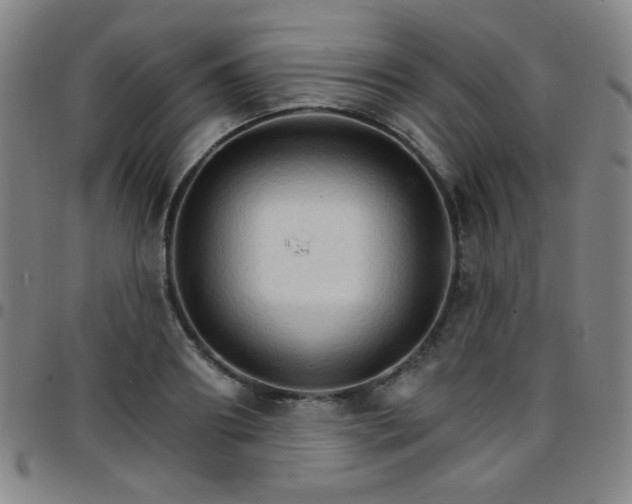 X0000097670890200803071552