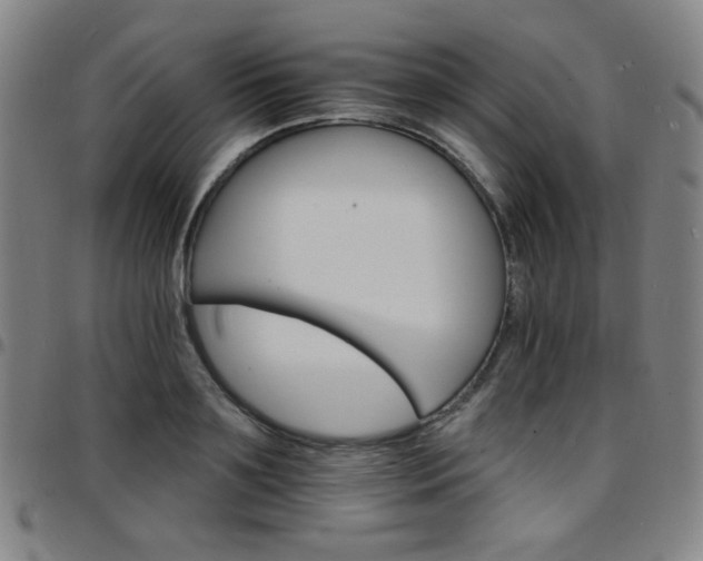 X0000097670891200803071552