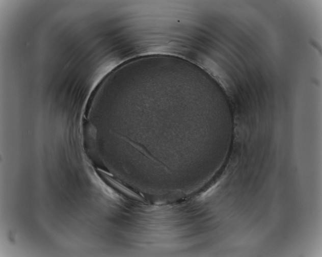 X0000097670892200803071552