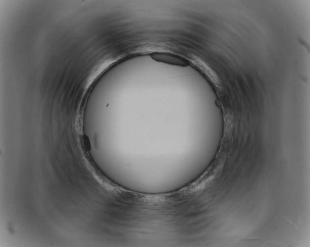 X0000097670893200803071552