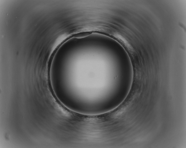 X0000097670894200803071552