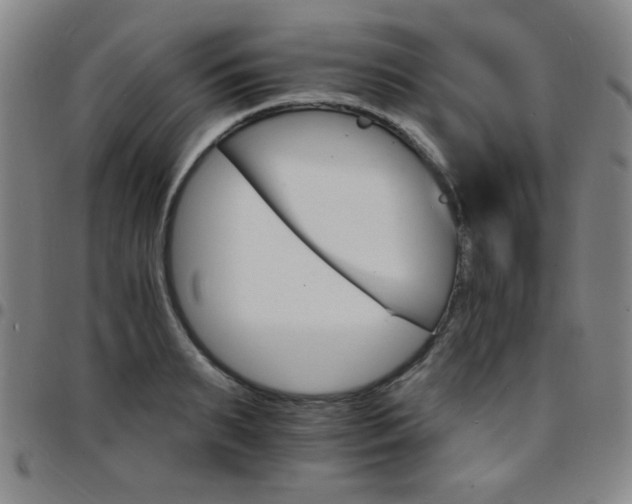 X0000097670895200803071552