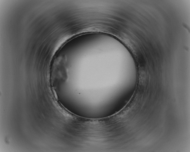 X0000097670896200803071552