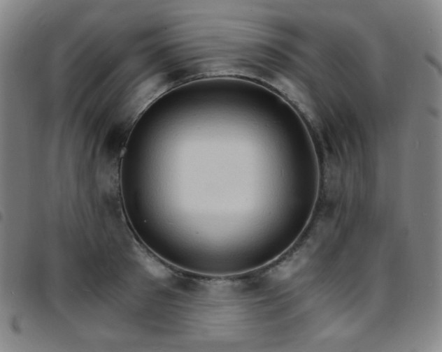 X0000097670897200803071552