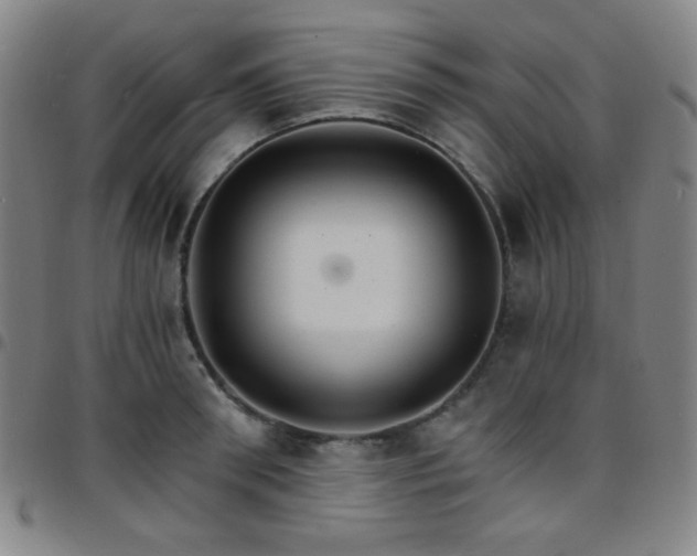 X0000097670898200803071552