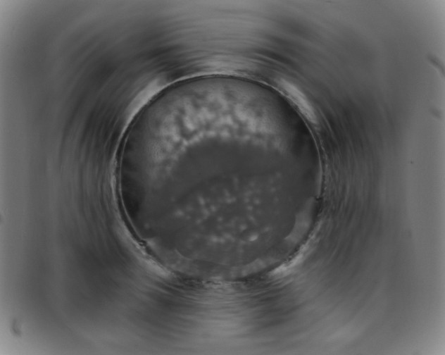 X0000097670899200803071552