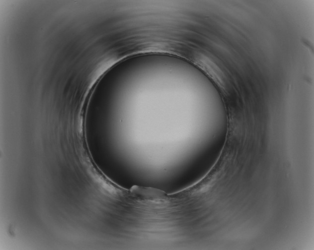 X0000097670900200803071552
