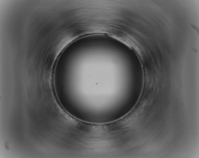 X0000097670901200803071552