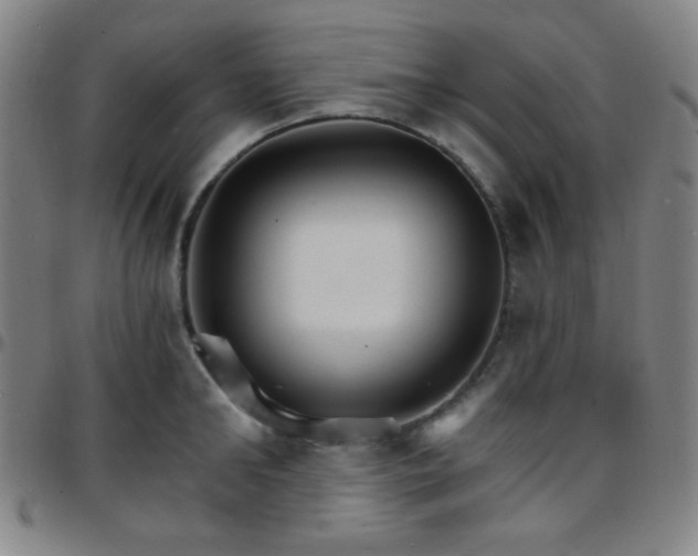 X0000097670902200803071552
