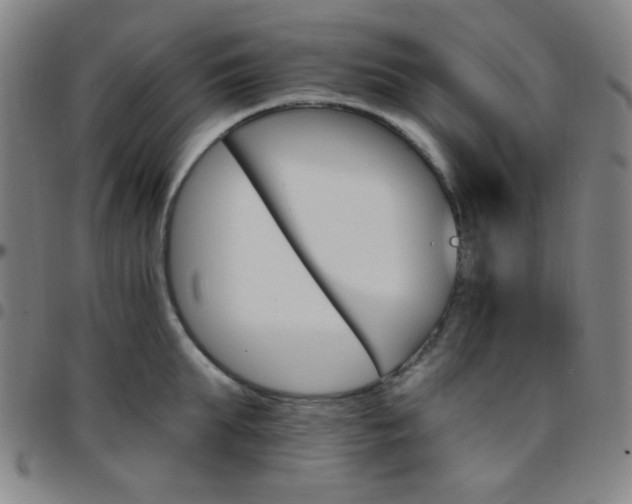 X0000097670903200803071552