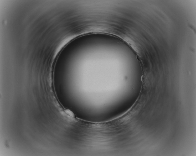 X0000097670904200803071552