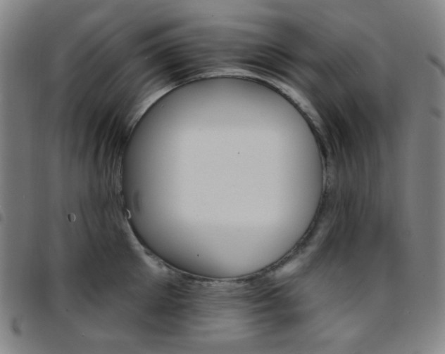 X0000097670905200803071552