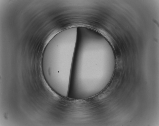 X0000097670906200803071552