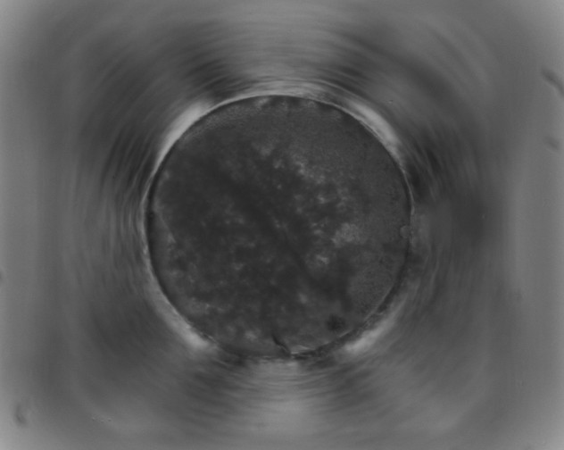 X0000097670907200803071552