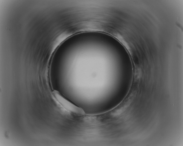 X0000097670909200803071552
