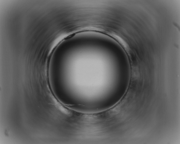 X0000097670910200803071552