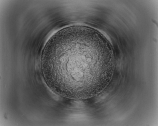 X0000097670911200803071552